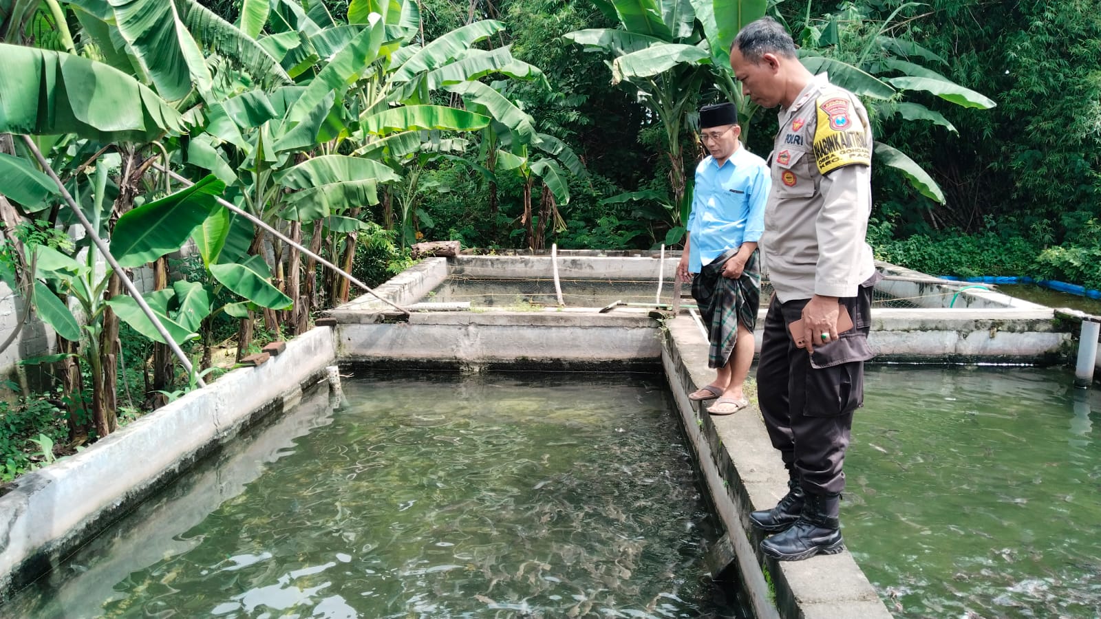 Pakan Makin Mahal, Bhabinkamtibmas Tampung Keluhan Peternak Lele di Gondang