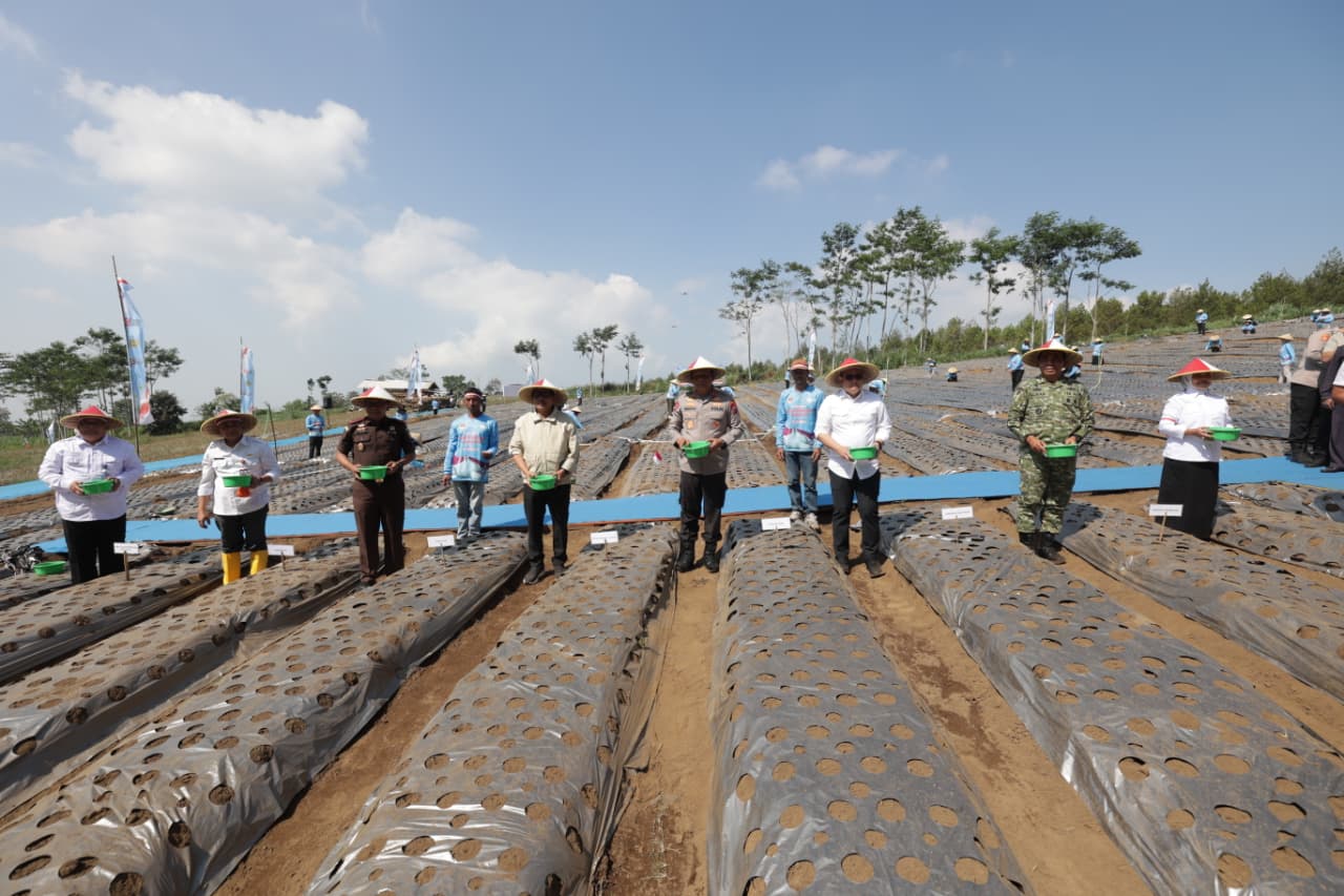 Dukung Swasembada Pangan, Polda Jatim dan Petani Tanam Bawang Putih Serentak