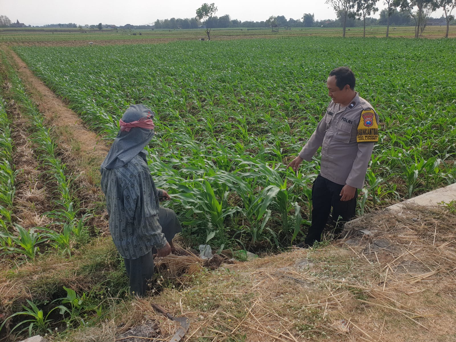 BINCANG BINCANG DENGAN PETANI JAGUNG, BHABINKAMTIBMAS PASTIKAN KAMTIBMAS DI PERSAWAHAN TETAP AMAN