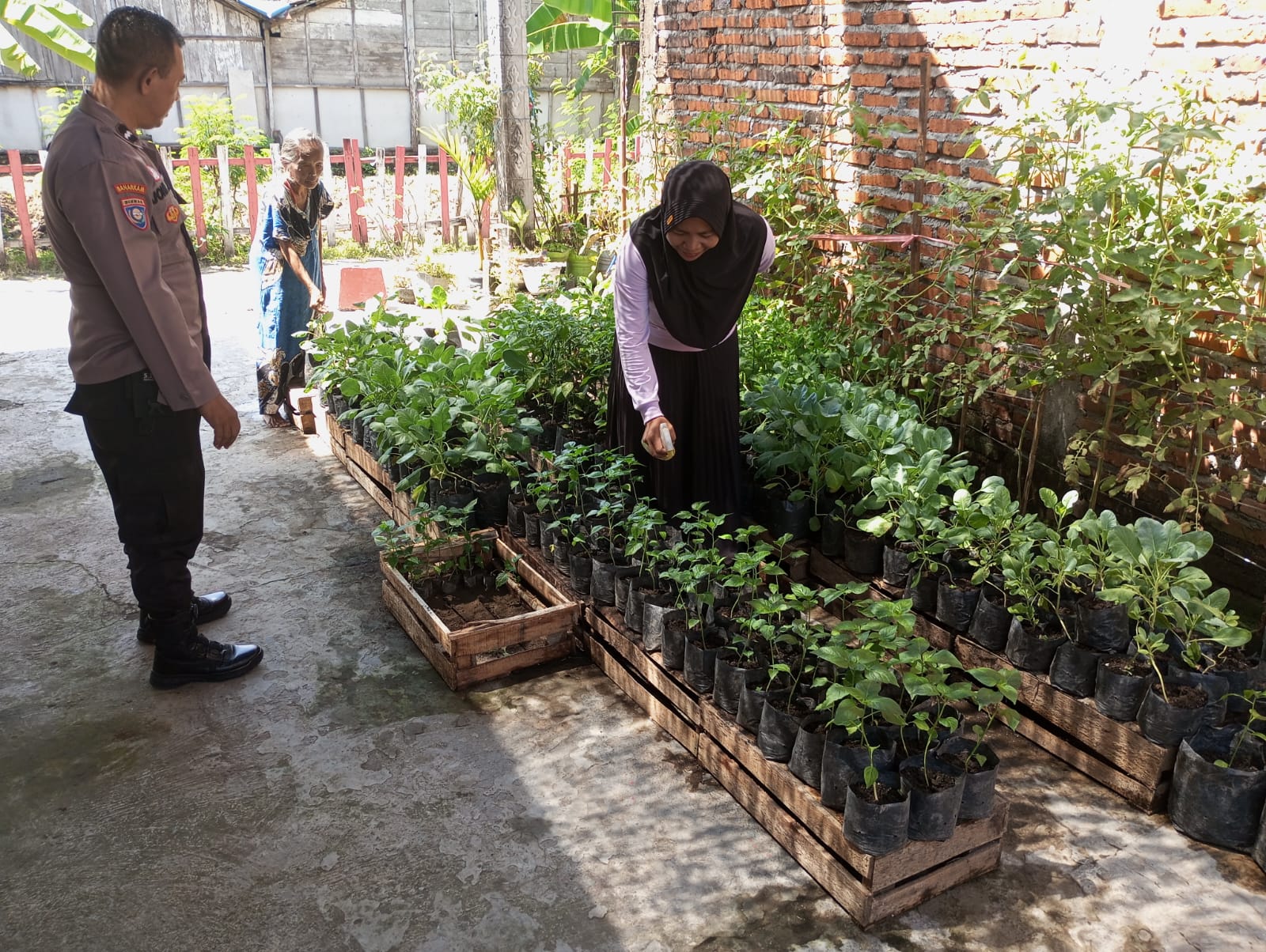 Lahan Sempit Jadi Kebun Produktif, Bhabinkamtibmas Ngasem Dorong Warga Manfaatkan Polybag
