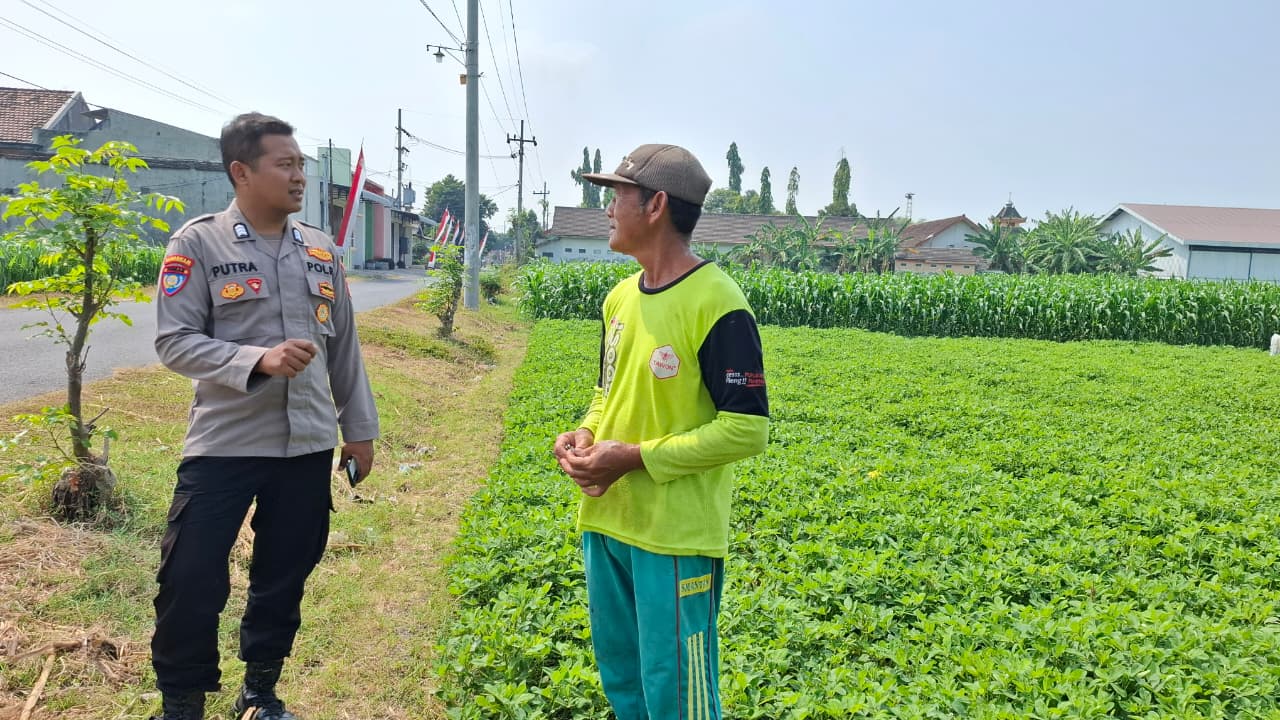 Patroli ke Sawah, Bhabinkamtibmas Sanggrahan Serap Aspirasi Petani Dukung Ketahanan Pangan