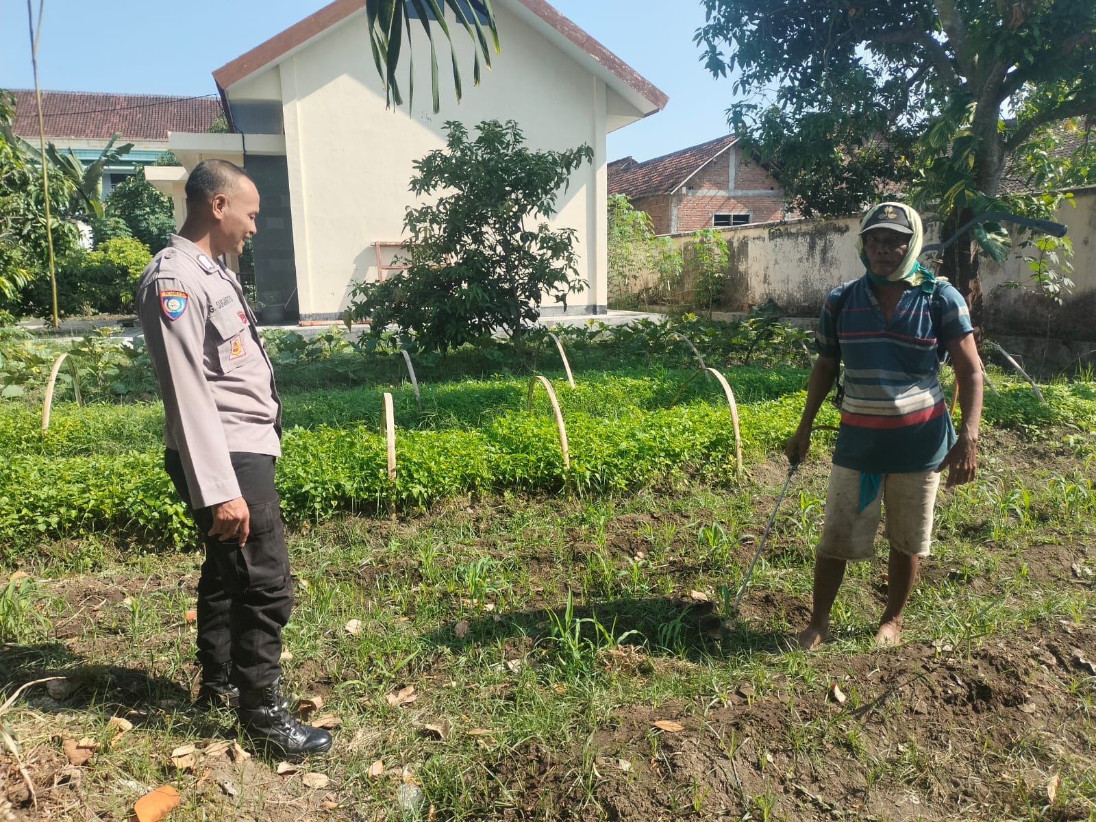 Kebun Samping Rumah Jadi Lahan Produktif, Bhabinkamtibmas Patianrowo Dukung Warga Wujudkan Ketahanan Pangan