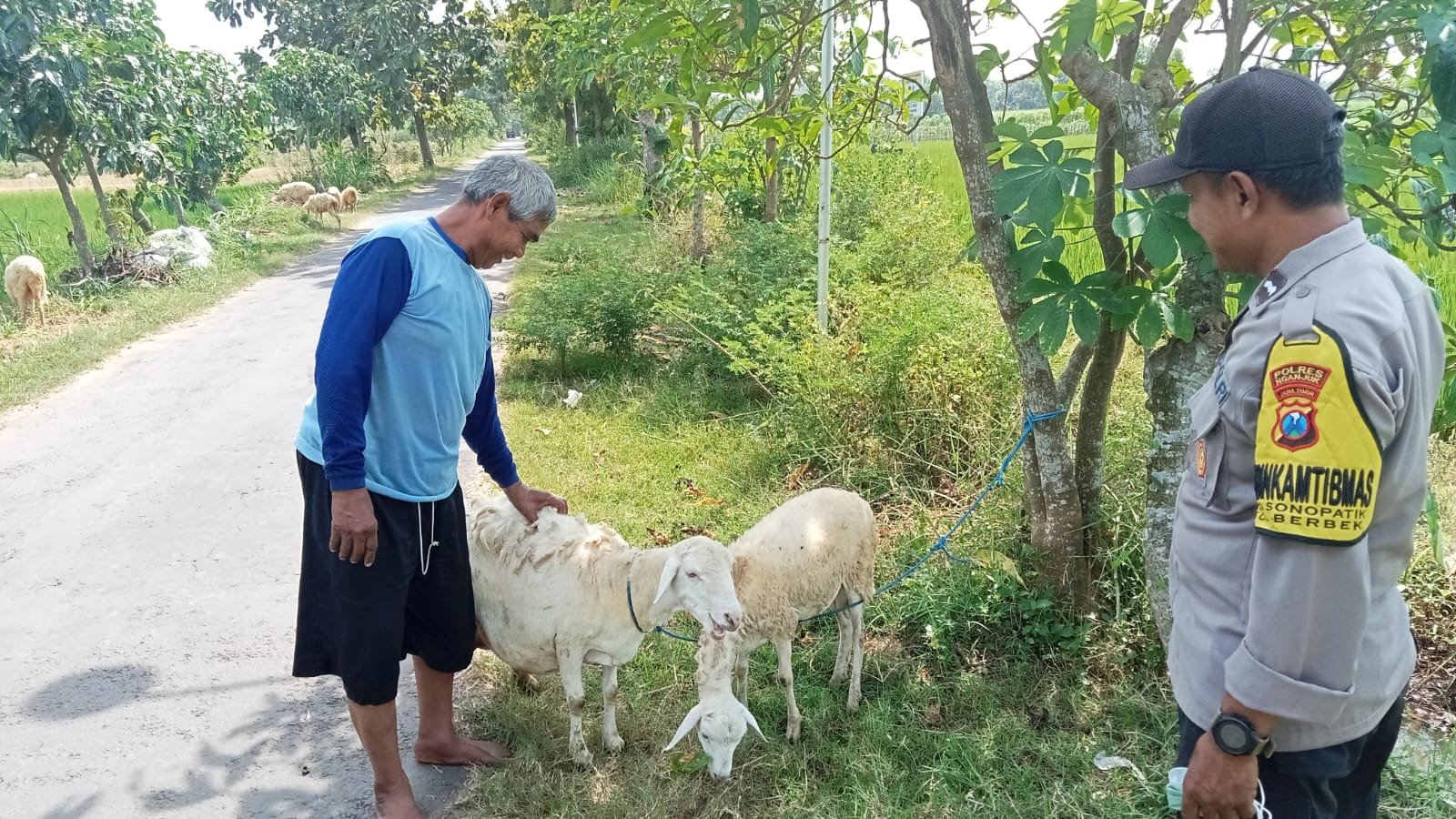 Sambangi Peternak Kambing, Bhabinkamtibmas Polsek Berbek Dorong Ketahanan Pangan dan Kesejahteraan Warga