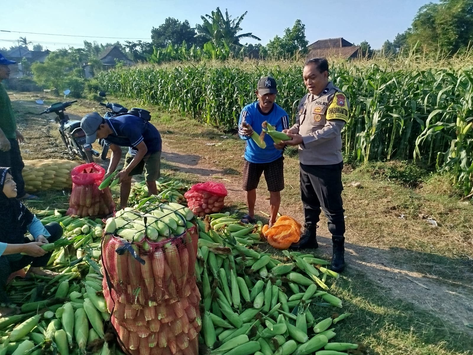 Sambang Petani, Bhabinkamtibmas Polsek Ngronggot Dorong Pembibitan untuk Perkuat Ketahanan Pangan Nasional