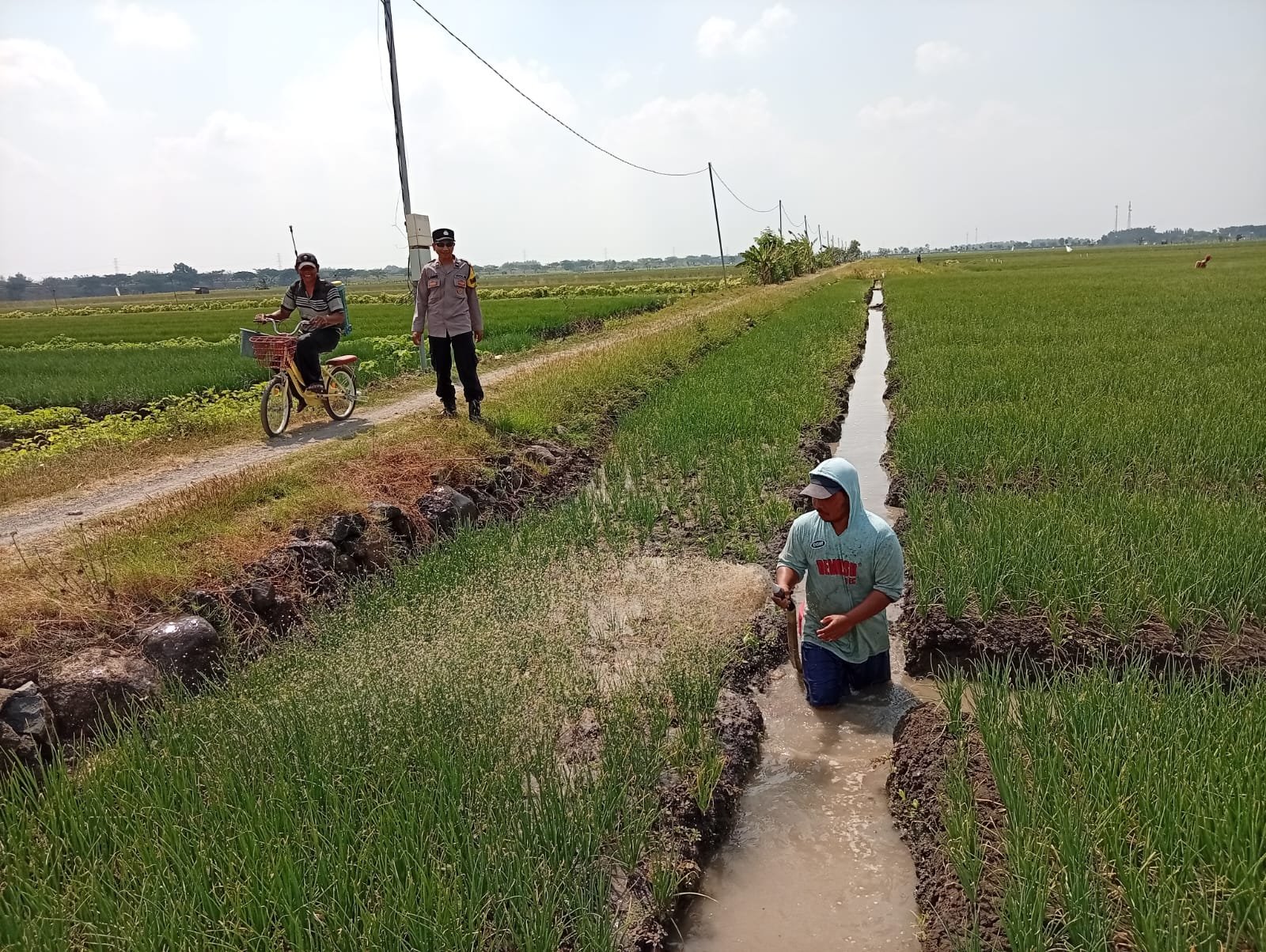 Patroli Persawahan, Bhabinkamtibmas Polsek Sukomoro Kawal Petani Bawang Merah Dukung Ketahanan Pangan dari Desa