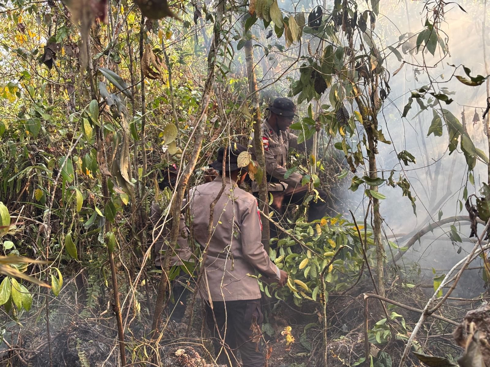 Penanganan Karhutla Hari Keenam, Brimob Kembali Turun Di Biak