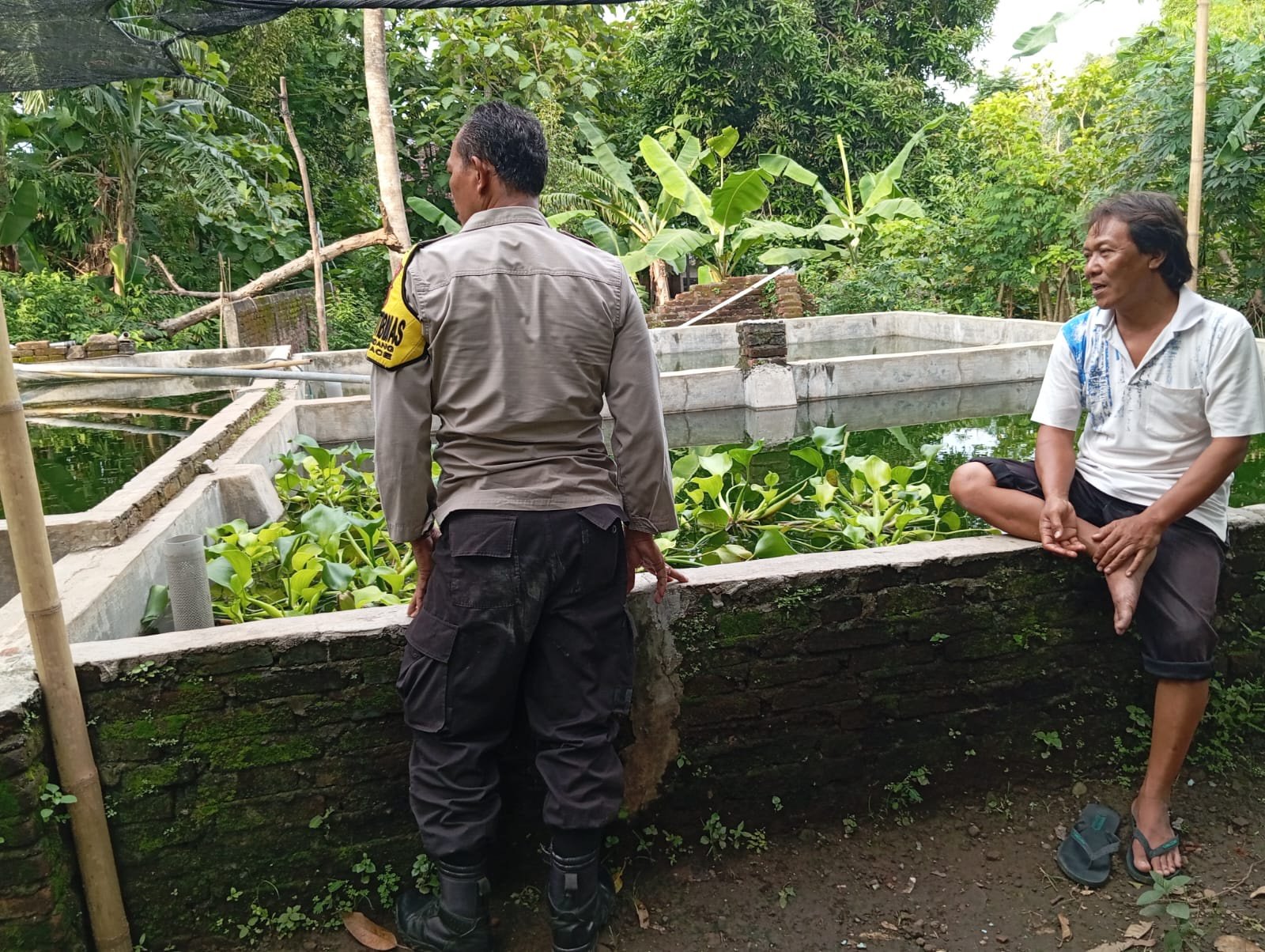 Bhabinkamtibmas Gondang Dorong Ketahanan Pangan melalui Pendampingan Petani dan Peternak