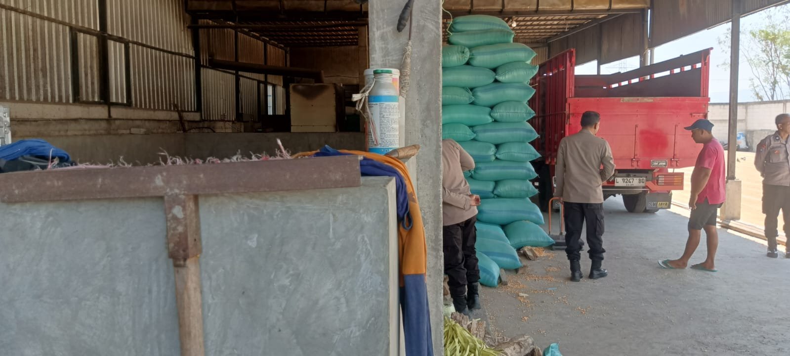 Jemur Jagung di Musim Kemarau, Polsek Wilangan Kawal Ketahanan Pangan Desa Ngudikan