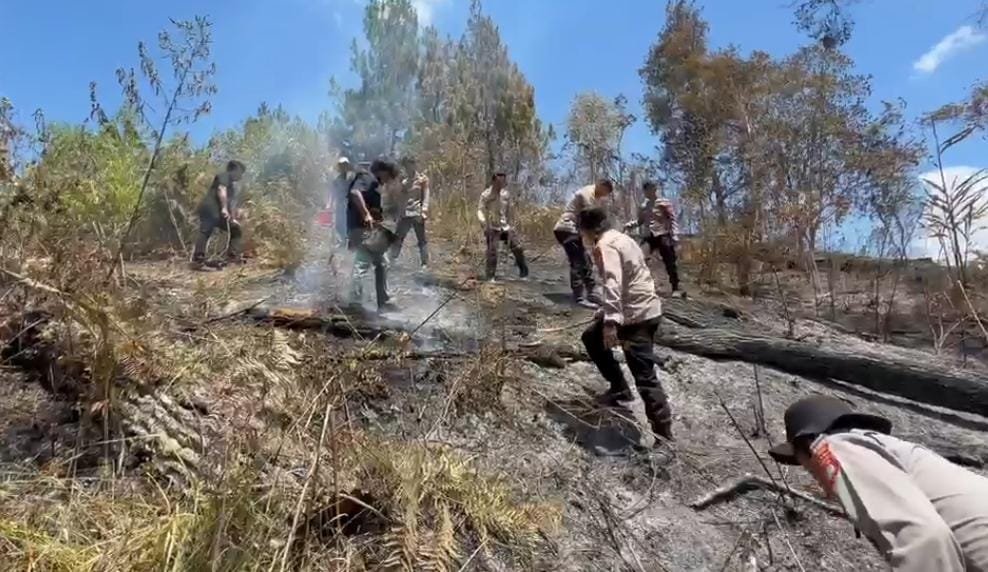 Karhutla Hanguskan 5 Hektare Lahan di Mamasa, Polisi dan Damkar Berjibaku Padamkan Api