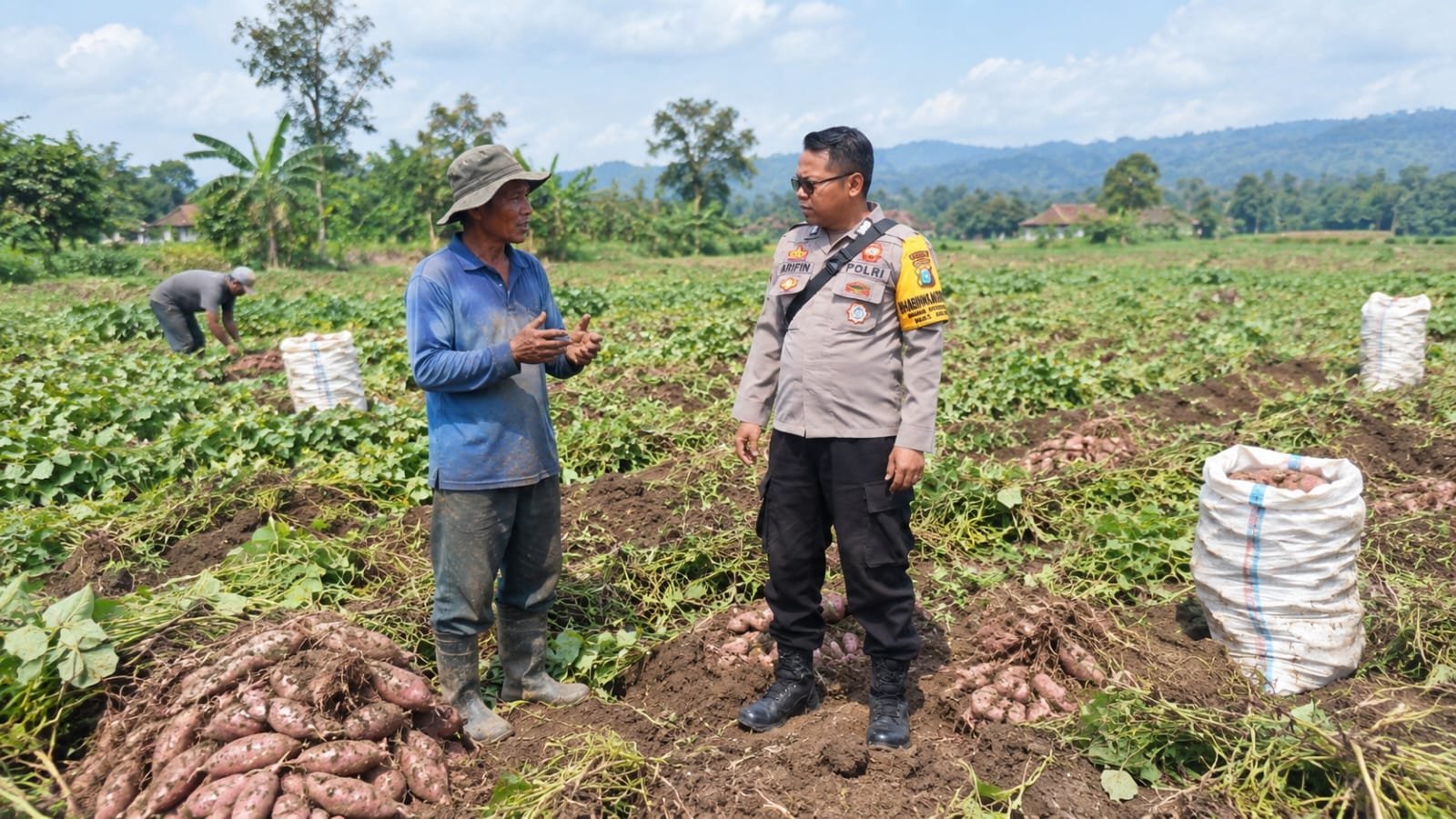 SAMBANG PETANI, BHABINKAMTIBMAS BARON DORONG KEMANDIRIAN PANGAN DAN KAMTIBMAS