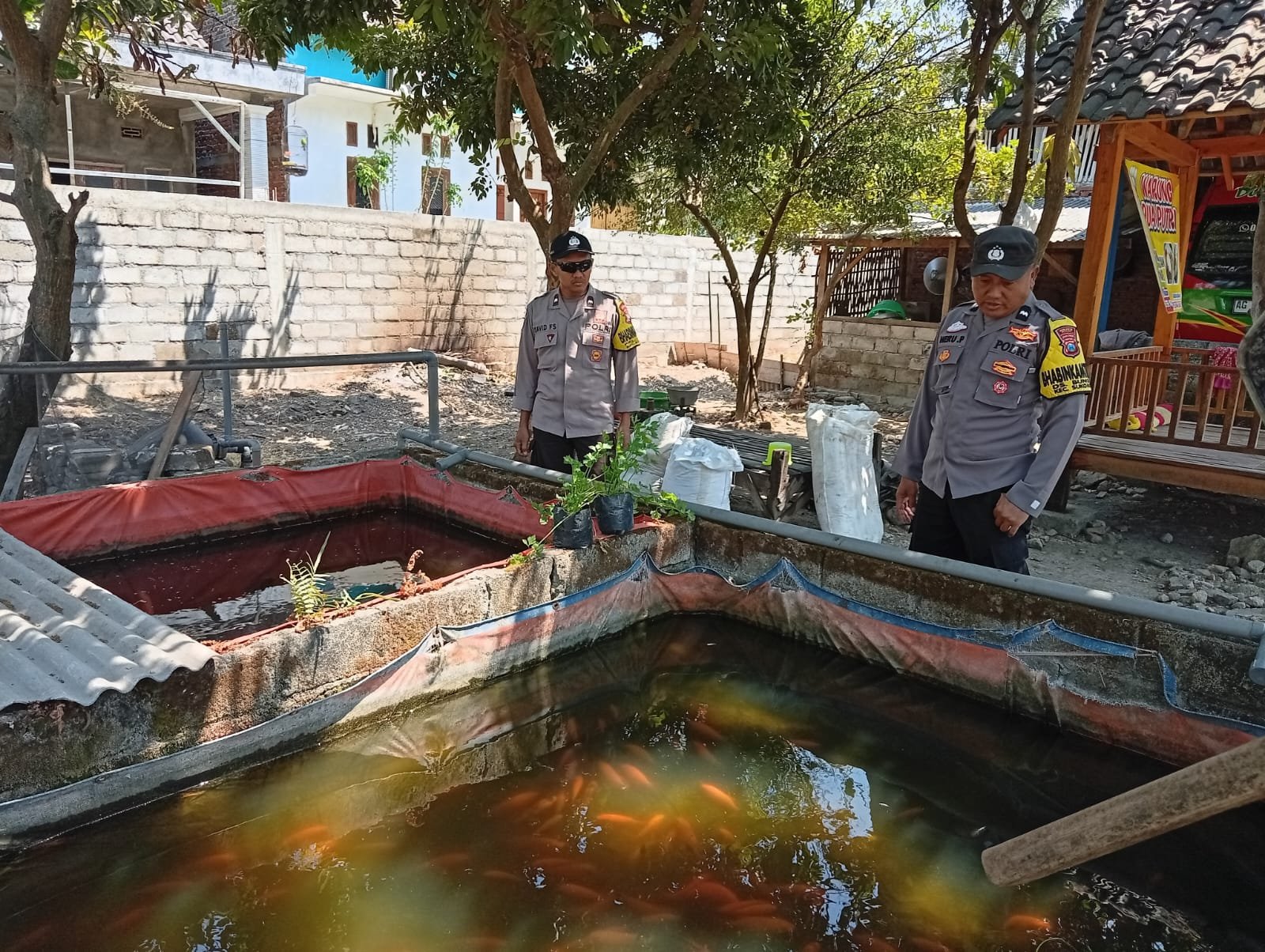 Jalin Keakraban dan Dukung Ketahanan Pangan, Bhabinkamtibmas Sambangi Peternak Lele