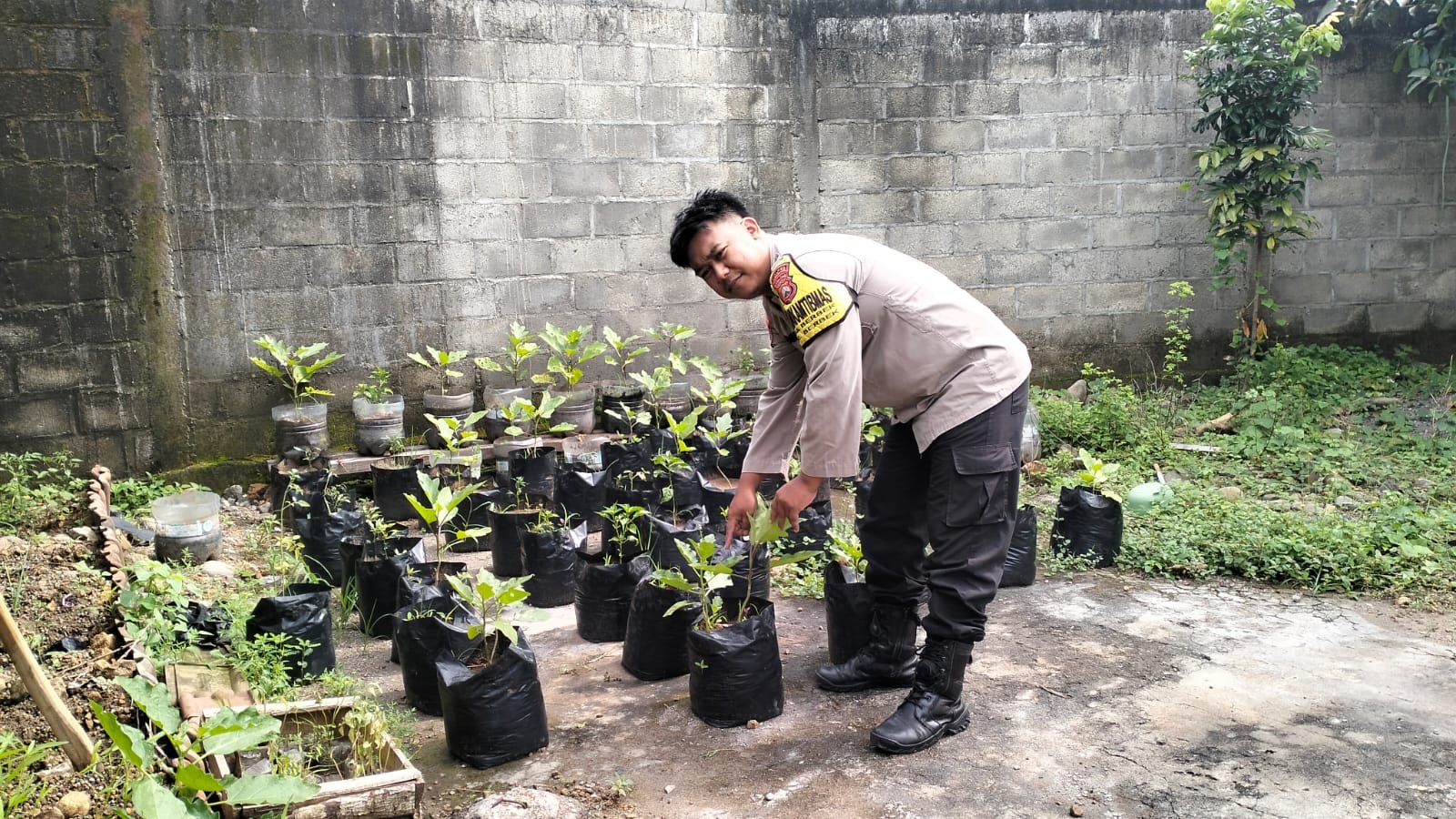 Dari Pembibitan Sederhana, Menumbuhkan Semangat Ketahanan Pangan Nasional