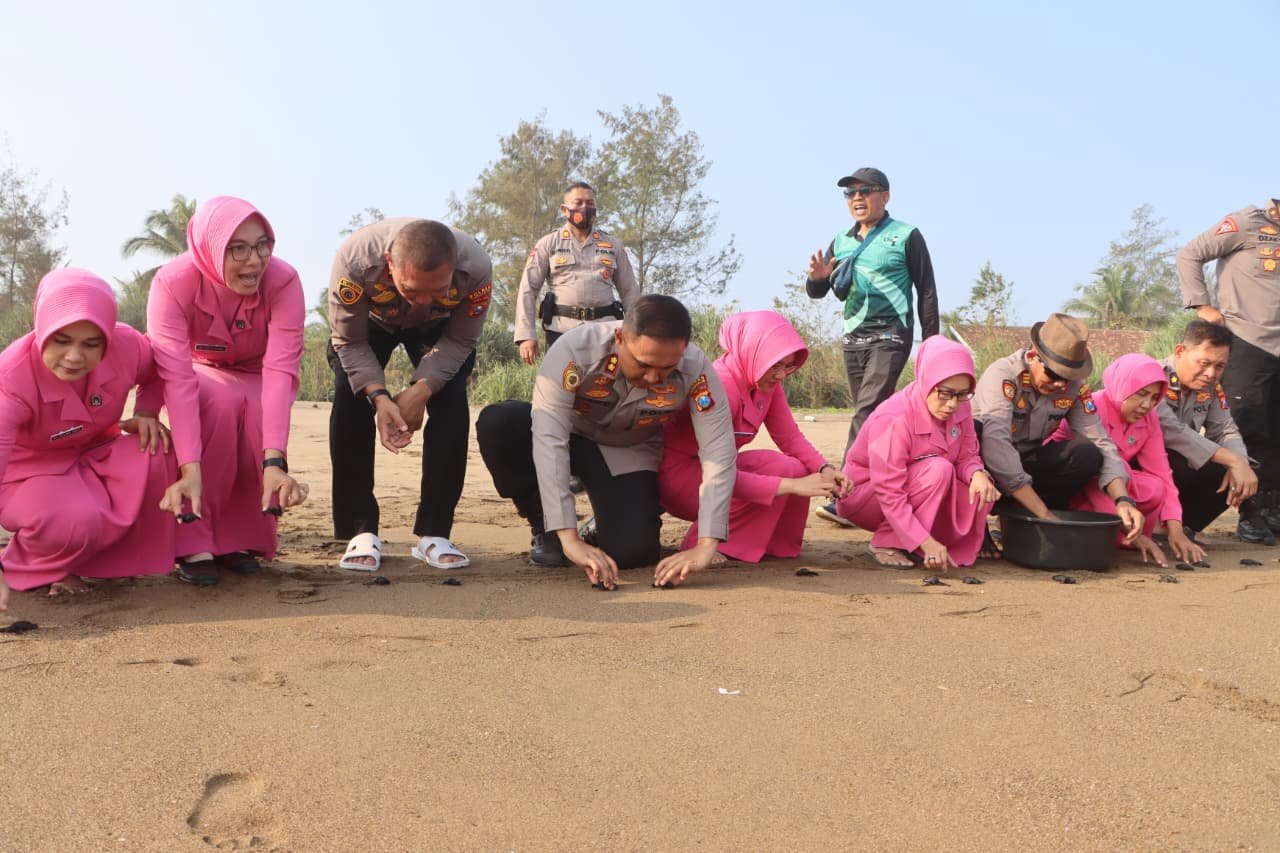 Ecology Policing : Polres Trenggalek Tanam Mangrove dan Lepas Liarkan Ratusan Tukik