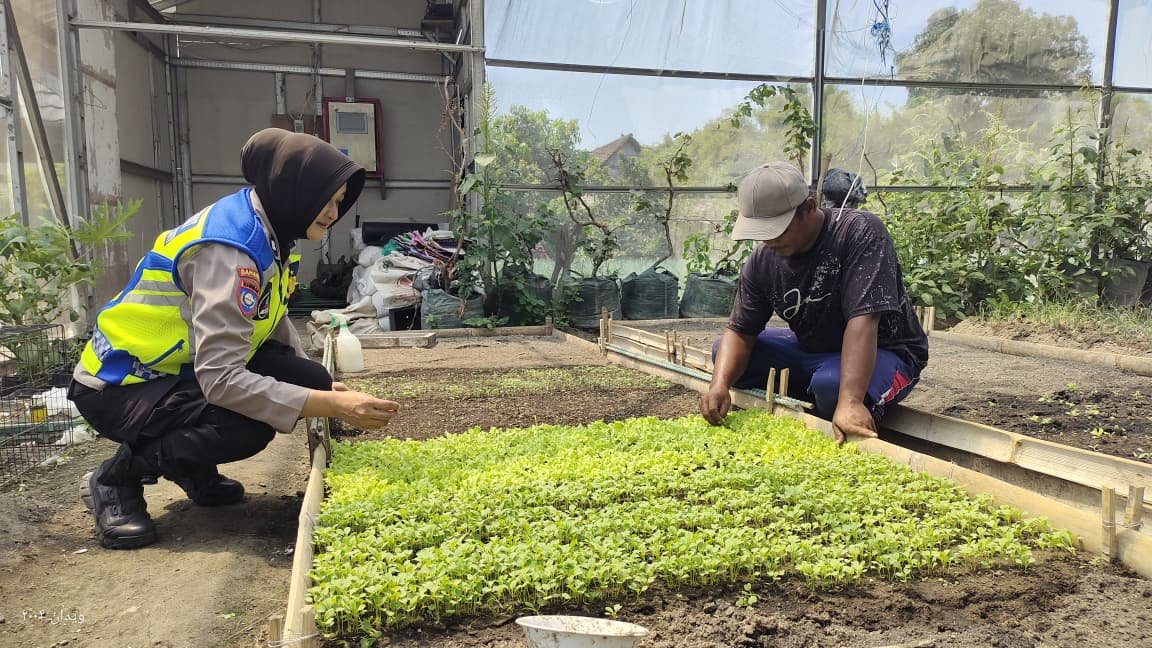 SAMBANGI PEMBIBITAN, BHABINKAMTIBMAS TANJUNGANOM DORONG KETAHANAN PANGAN DI WILAYAH BINAAN