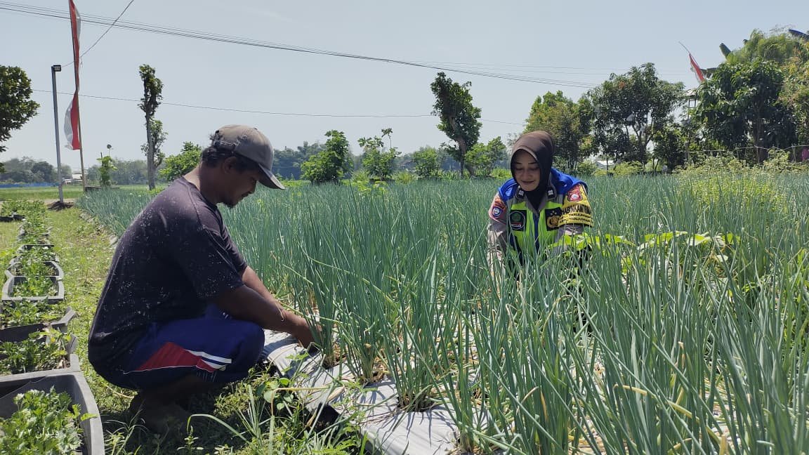 Bhabinkamtibmas Tanjunganom Dorong Petani Perkuat Ketahanan Pangan Nasional