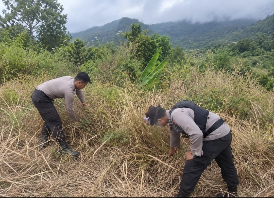 Tim Gabungan Bergerak Padamkan Karhutla di Lereng Gunung Wilis, 400 Personel Diterjunkan