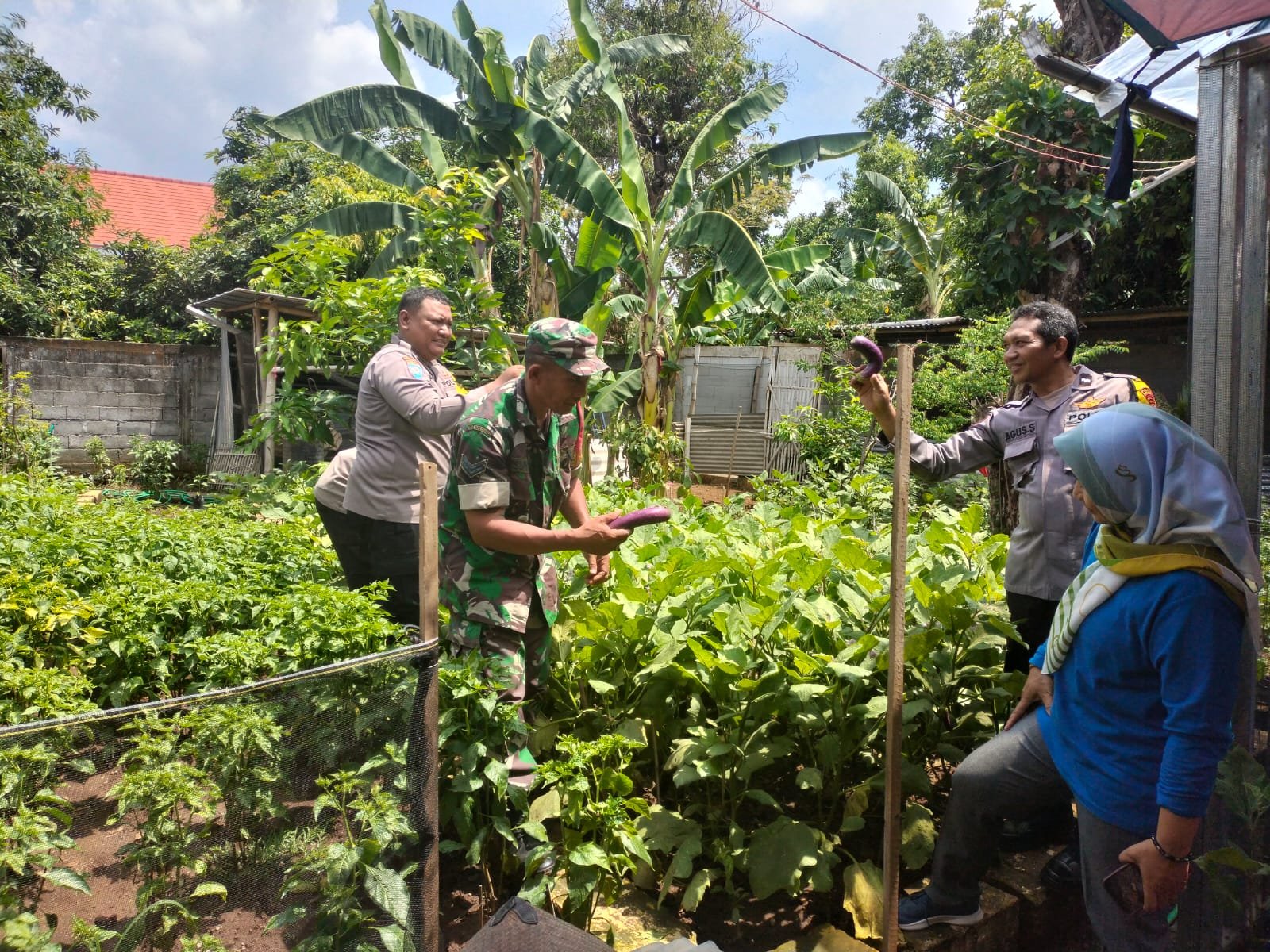 Semangat Ketahanan Pangan, Bhabinkamtibmas Sambangi Perkebunan Mini Warga