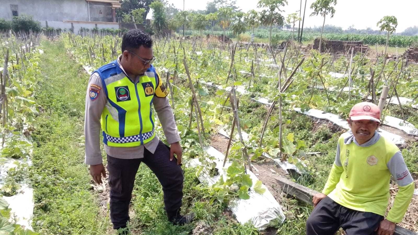 Bhabinkamtibmas Sambangi Petani, Perkuat Sinergi Dukung Ketahanan Pangan