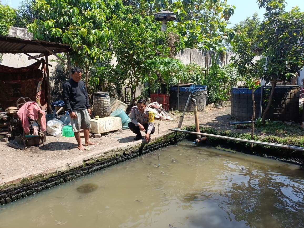 Dorong Ketahanan Pangan, Bhabinkamtibmas Sekarputih Pantau Budidaya Lele Warga