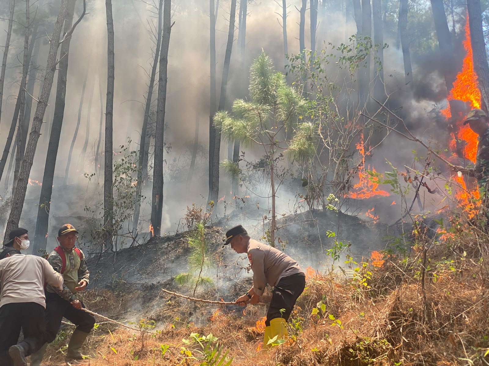 Polres Ponorogo dan Tim Gabungan Tembus Medan Curam Lereng Gunung Limas Padamkan Api Karhutla