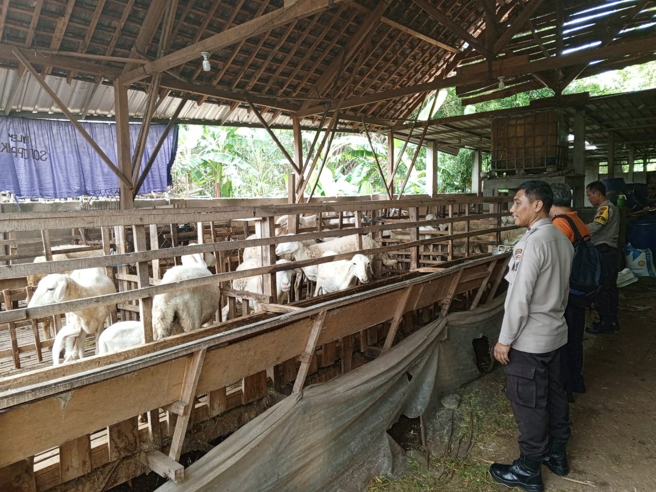 SAMBANG PETERNAK, BHABINKAMTIBMAS JEMBATANI ASPIRASI DAN PERKUAT KETAHANAN PANGAN
