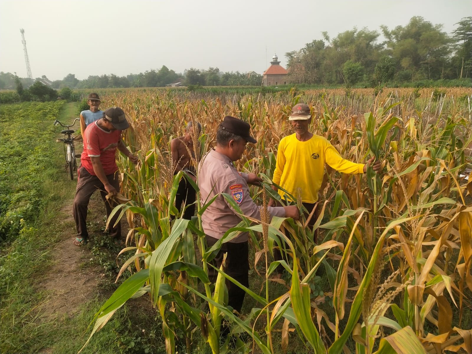 Bhabinkamtibmas Bersinergi dengan Petani, Perkuat Ketahanan Pangan Nasional