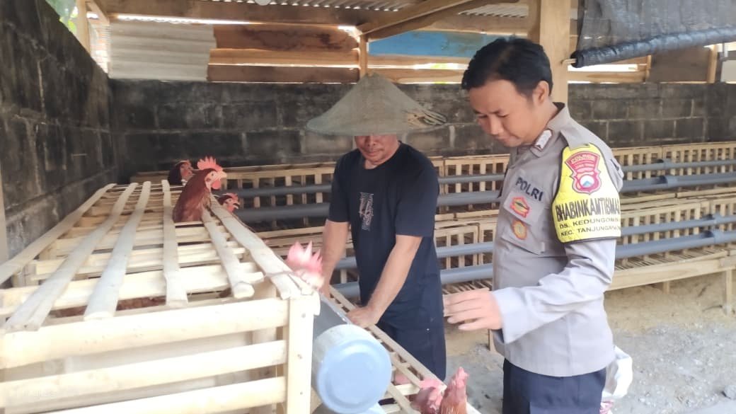 Bhabinkamtibmas Kedungombo Dorong Pemanfaatan Pekarangan untuk Dukung Ketahanan Pangan Nasional