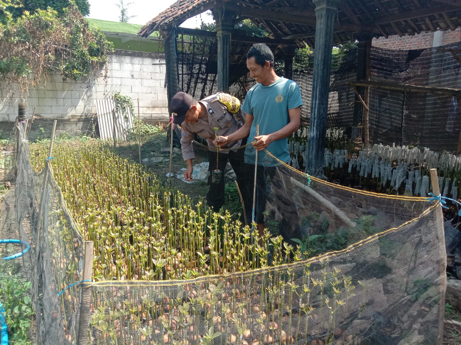 Menanam Asa dari Pembibitan, Bhabinkamtibmas Ngronggot Gerakkan Tanam Sayur dan Buah