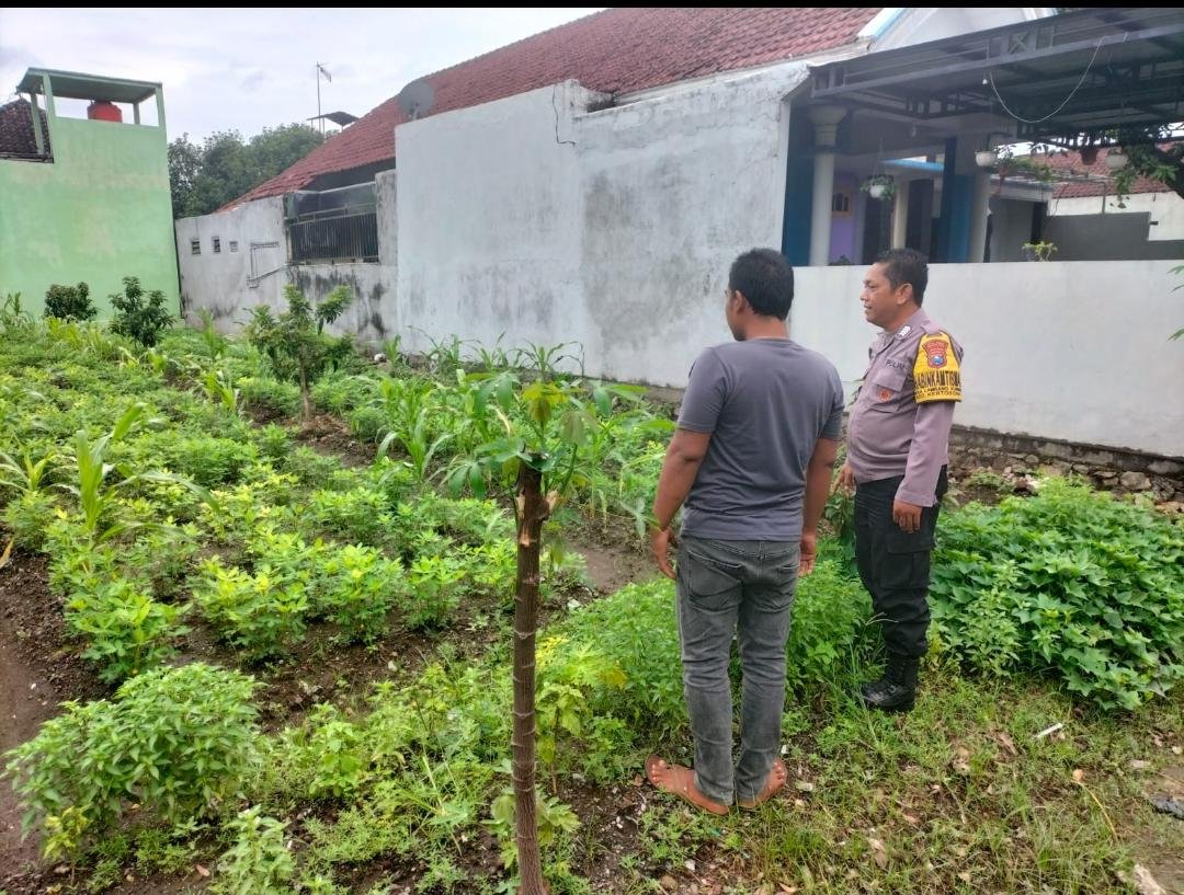 Menanam Harapan di Lahan Sela, Bhabinkamtibmas Lambangkuning Dorong Ketahanan Pangan