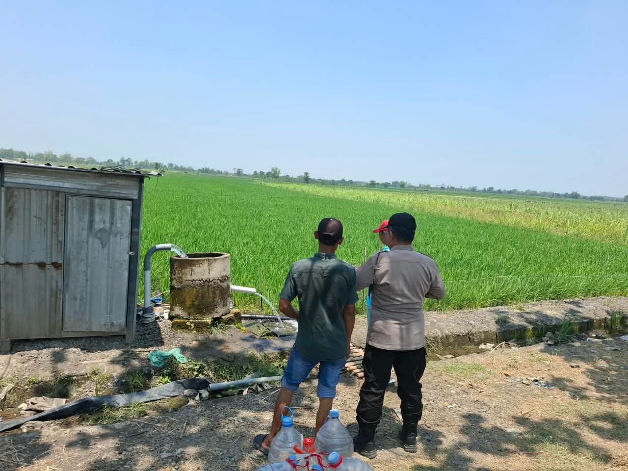 Pantau Perkembangan Tanaman Padi Bhabinkamtibmas Desa Ngasem Polsek Jatikalen Polres Nganjuk