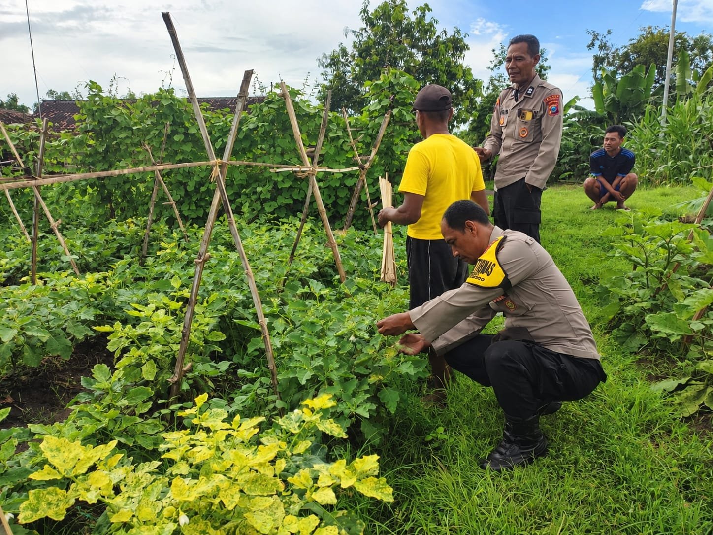 Dukung Ketahanan Pangan Nasional, Bhabinkamtibmas Pehserut Aktif Dampingi Petani Manfaatkan Pekarangan Bergizi