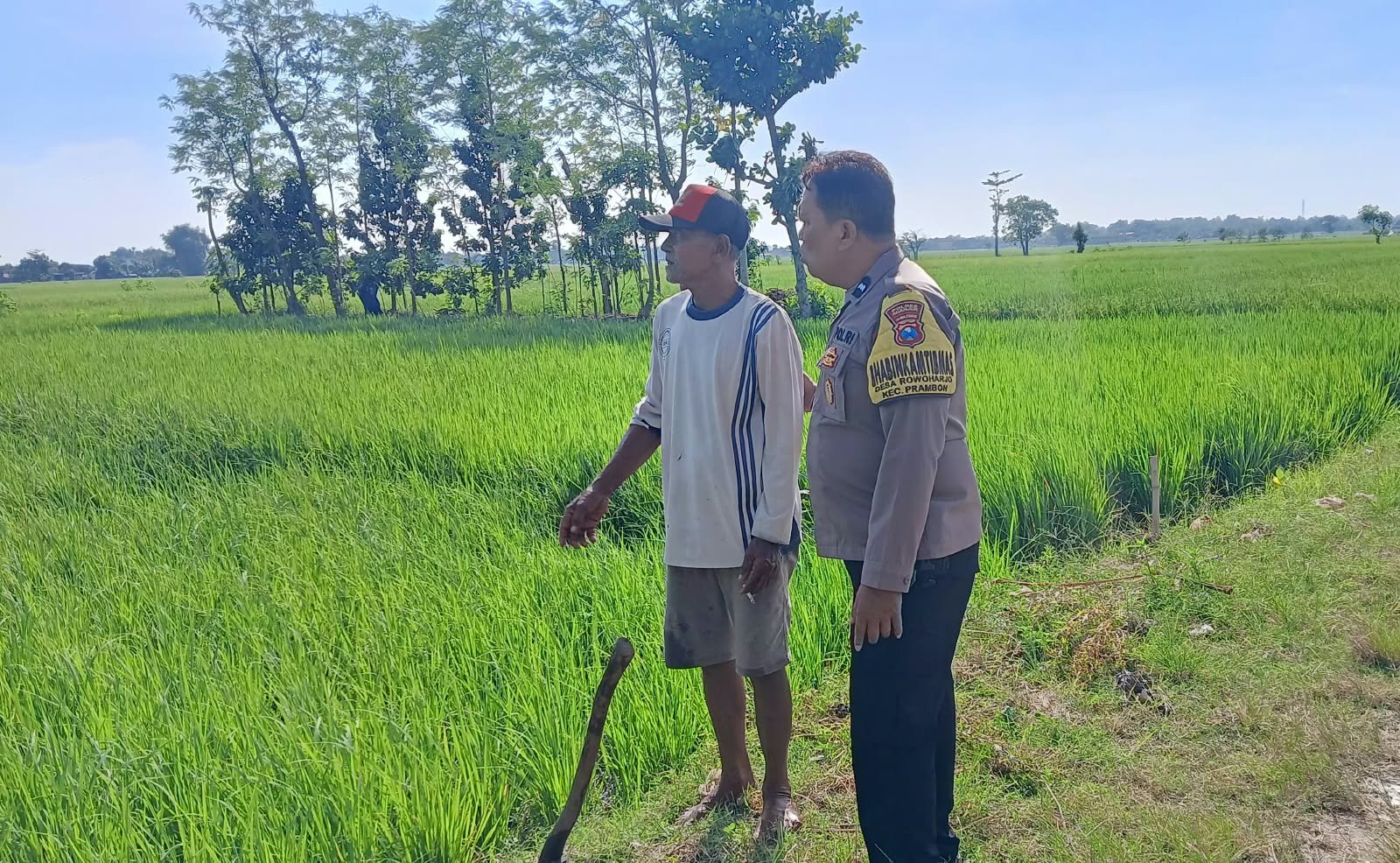 Himbauan Tiada Henti, Petani Aman dan Ketahanan Pangan Terjaga