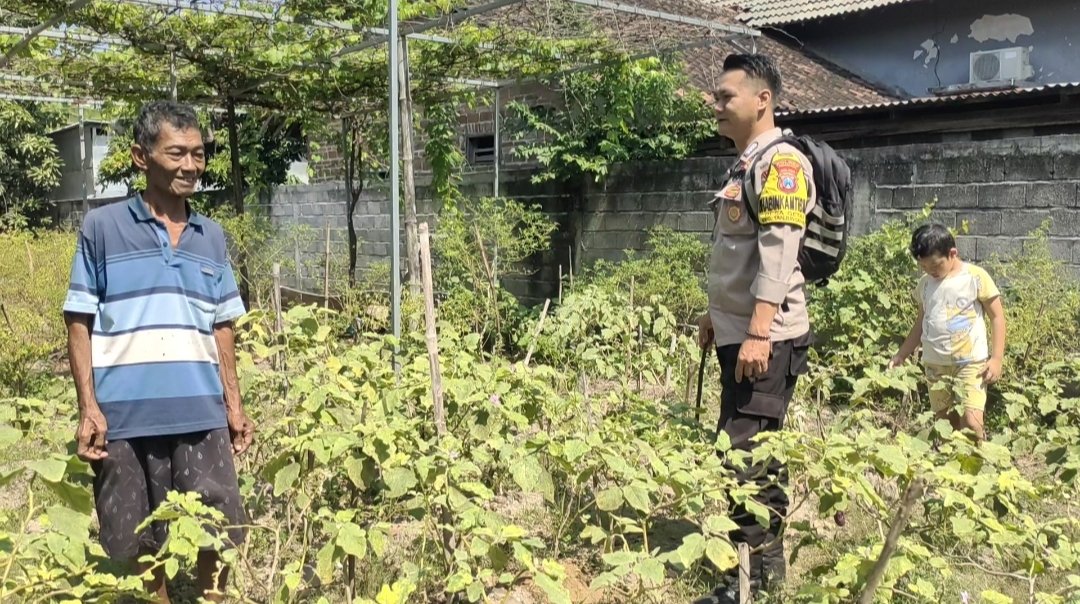 Bhabinkamtibmas Desa Getas Pantau Lahan P2B, Dorong Produktivitas Cabai Dukung Ketahanan Pangan