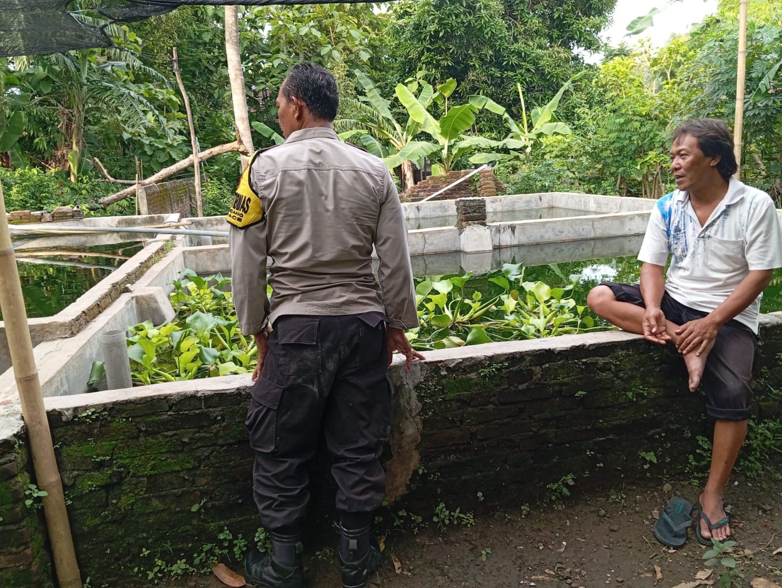 Bhabinkamtibmas Desa Gondang Sambangi Peternak Lele, Bahas Solusi Ketersediaan Air di Tengah Kemarau Panjang