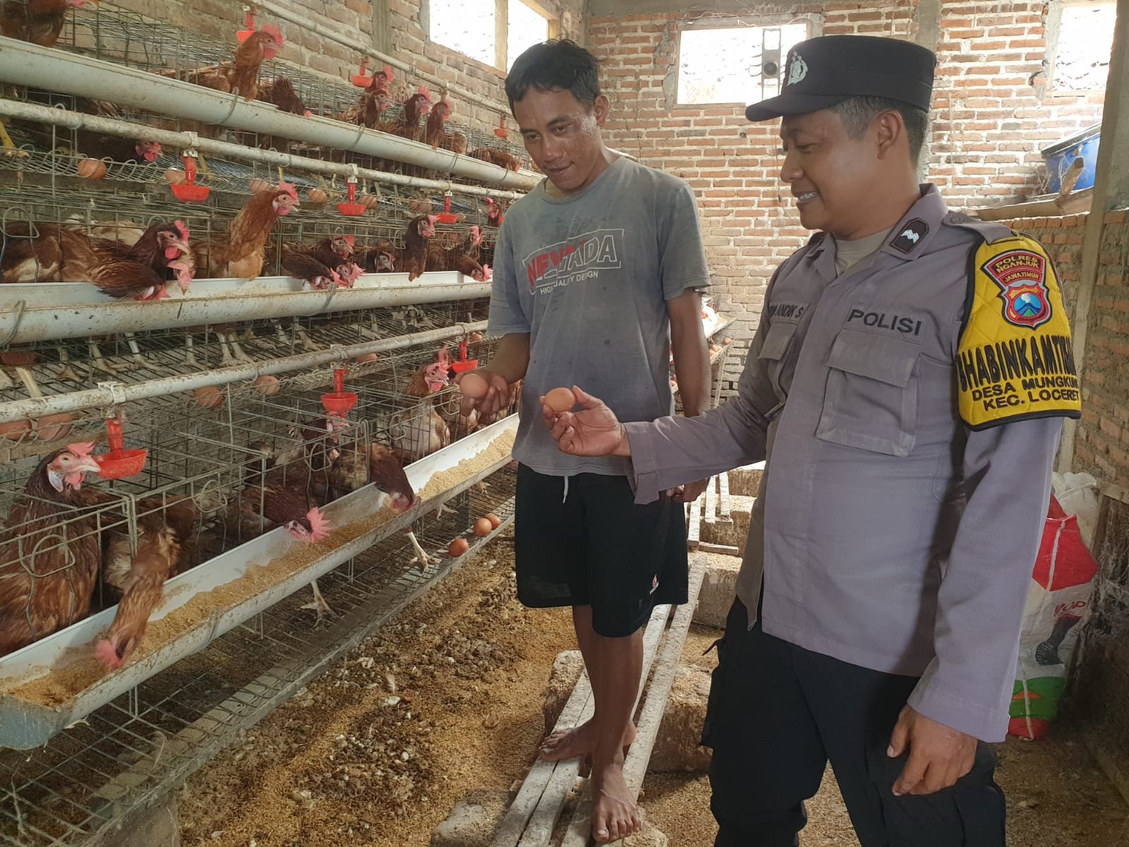 Perkuat Ketahanan Pangan, Bhabinkamtibmas Desa Mungkung Pantau Produktivitas Peternakan Ayam Warga