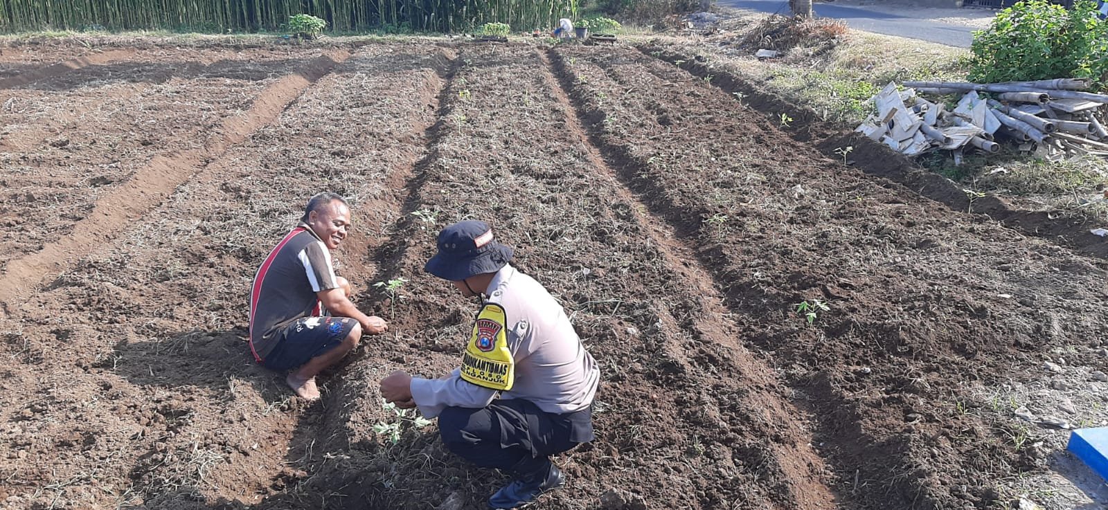 Dorong Ketahanan Pangan, Bhabinkamtibmas Polsek Nganjuk Kota Bantu Warga Tanam Bibit Pepaya California