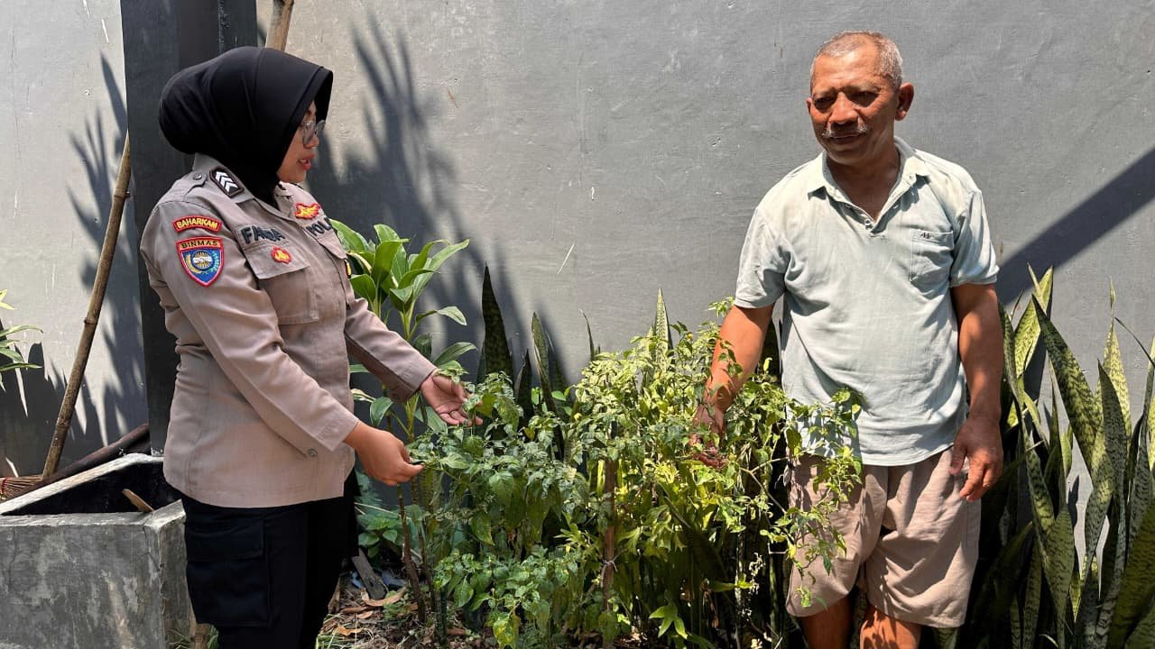 Bunga Berganti Cabai, Bhabinkamtibmas Ngadirejo Dorong Lahan Sela Jadi Produktif