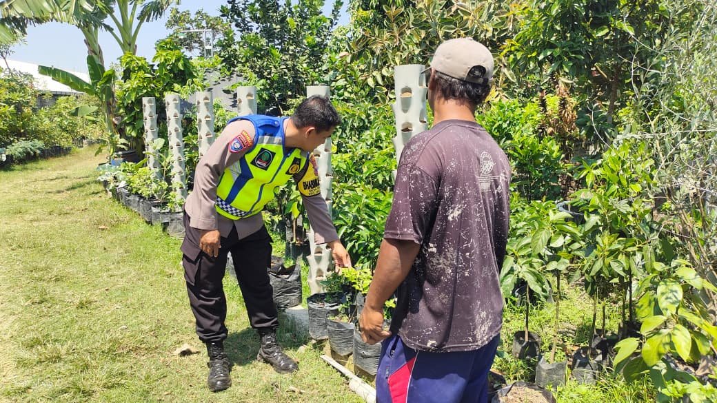 Kreatif dan Inspiratif, Warga Desa Demangan Sulap Paralon Bekas Menjadi Kebun Sayur Bertingkat Dukung Ketahanan Pangan Keluarga