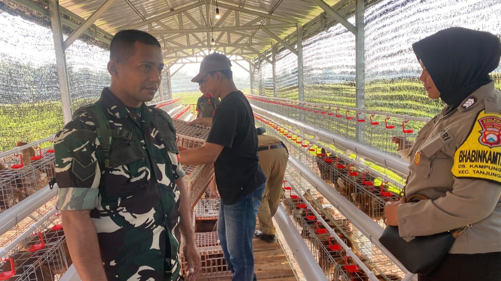 Kreatif dan Modern, Peternak Kampungbaru Sulap Tengah Kebun Jadi Kandang Ayam Produktif