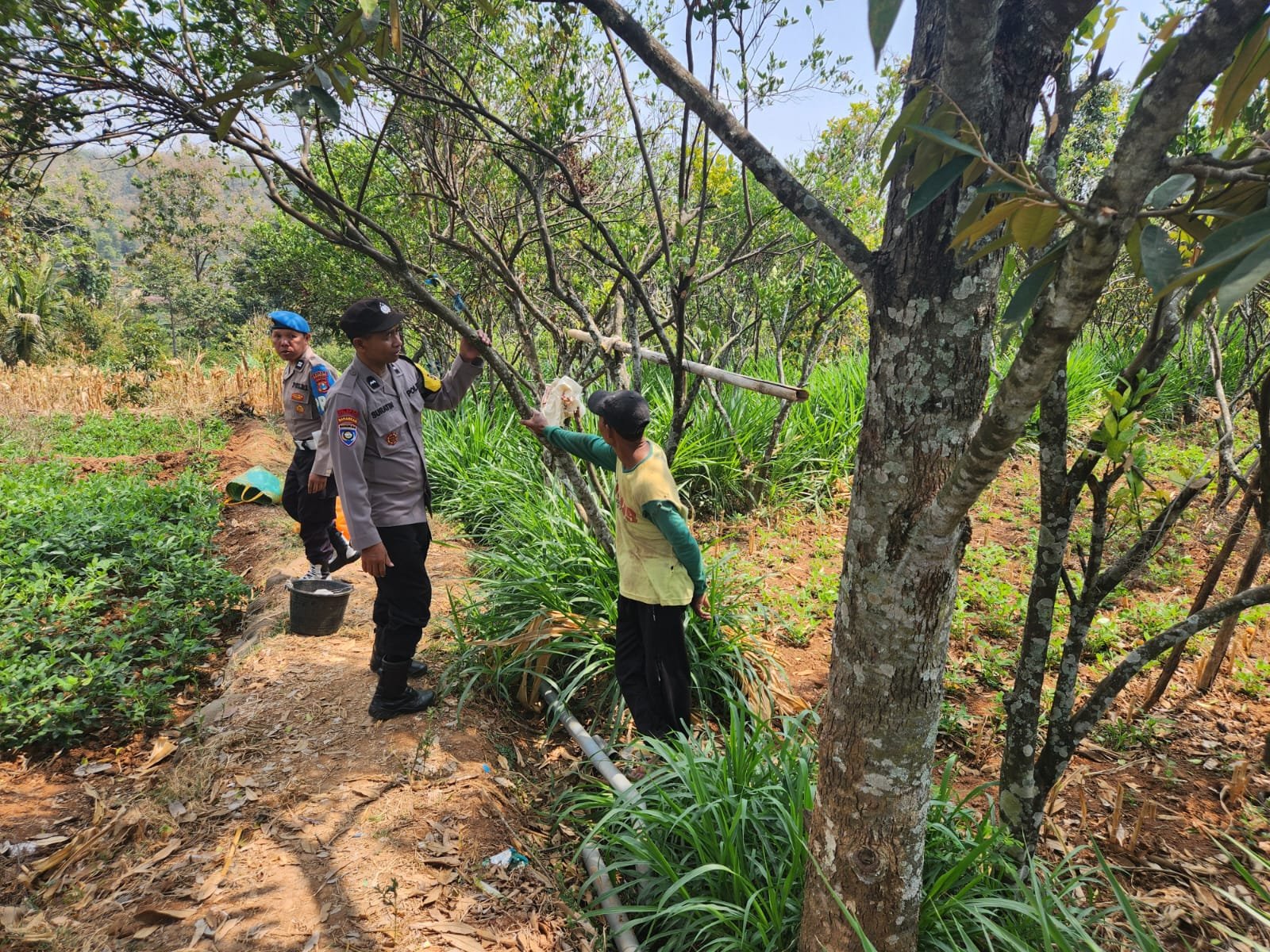 Jalin Kedekatan dengan Petani, Bhabinkamtibmas Desa Duren Sampaikan Imbauan Kamtibmas dan Dukung Ketahanan Pangan