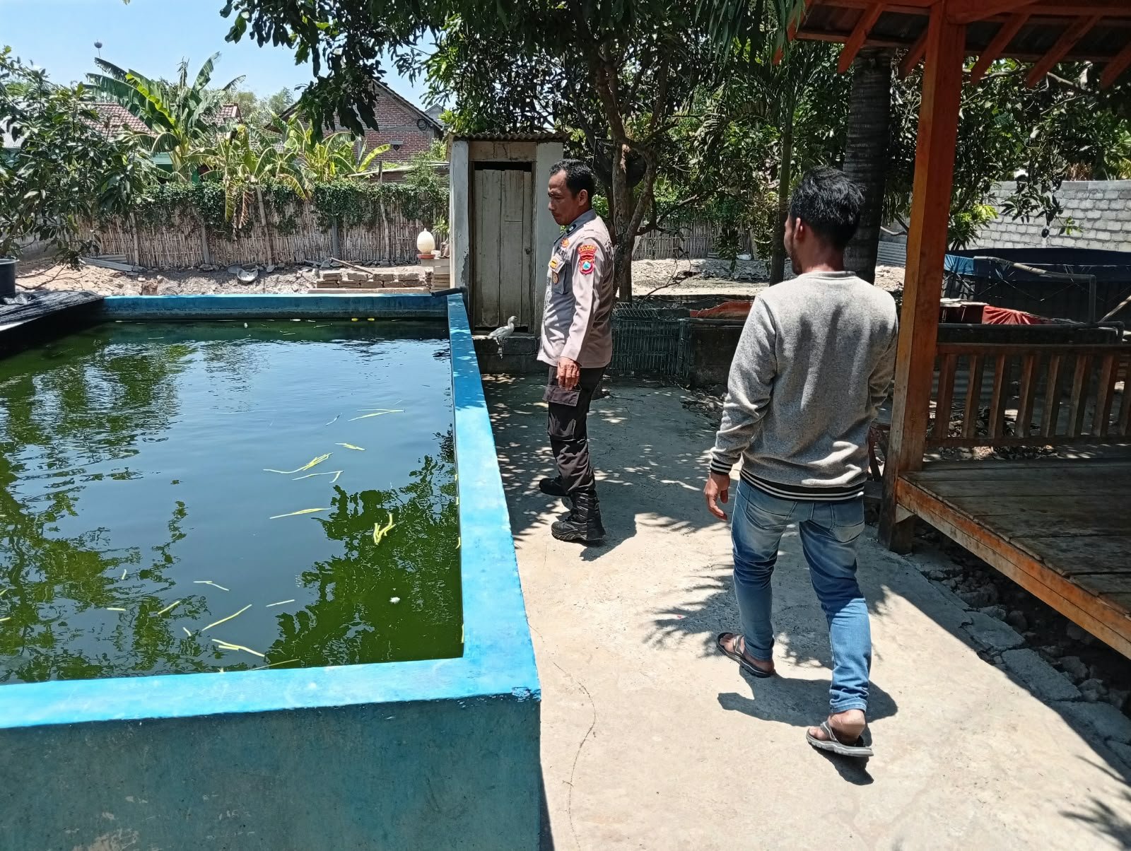 Dukung Ketahanan Pangan dari Lingkungan Keluarga, Bhabinkamtibmas Pehserut Sambangi Peternak Lele