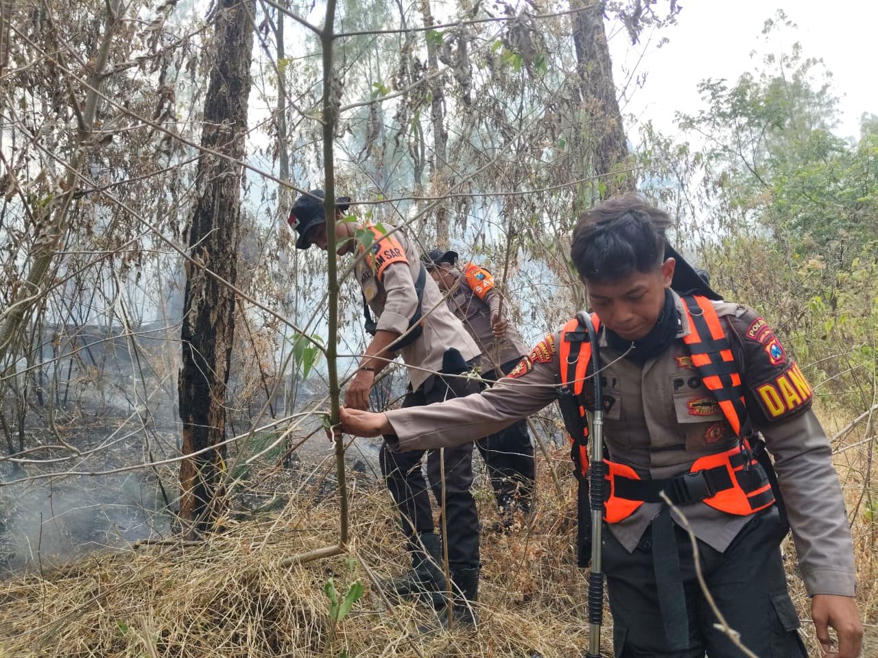 Polda Jatim dan Tim Gabungan Tangani Karhutla Gunung Arjuno Sisir 4 Wilayah