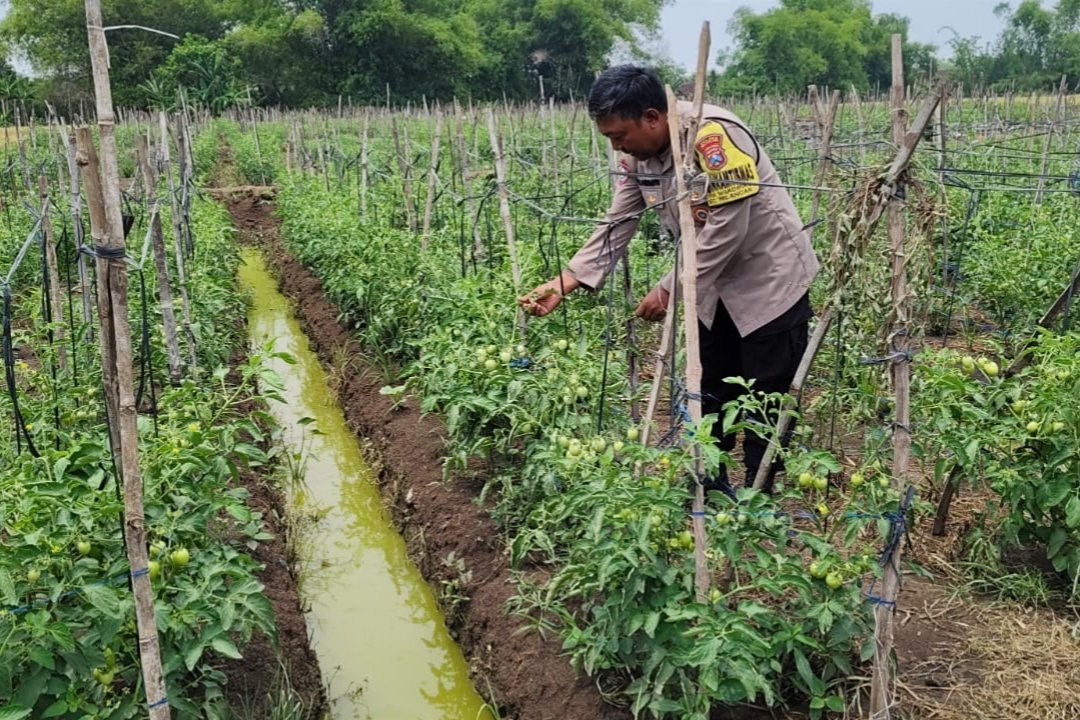 Sambangi Warga Binaan, Bhabinkamtibmas Desa Ngadipiro Dorong Pemanfaatan Pekarangan untuk Ketahanan Pangan