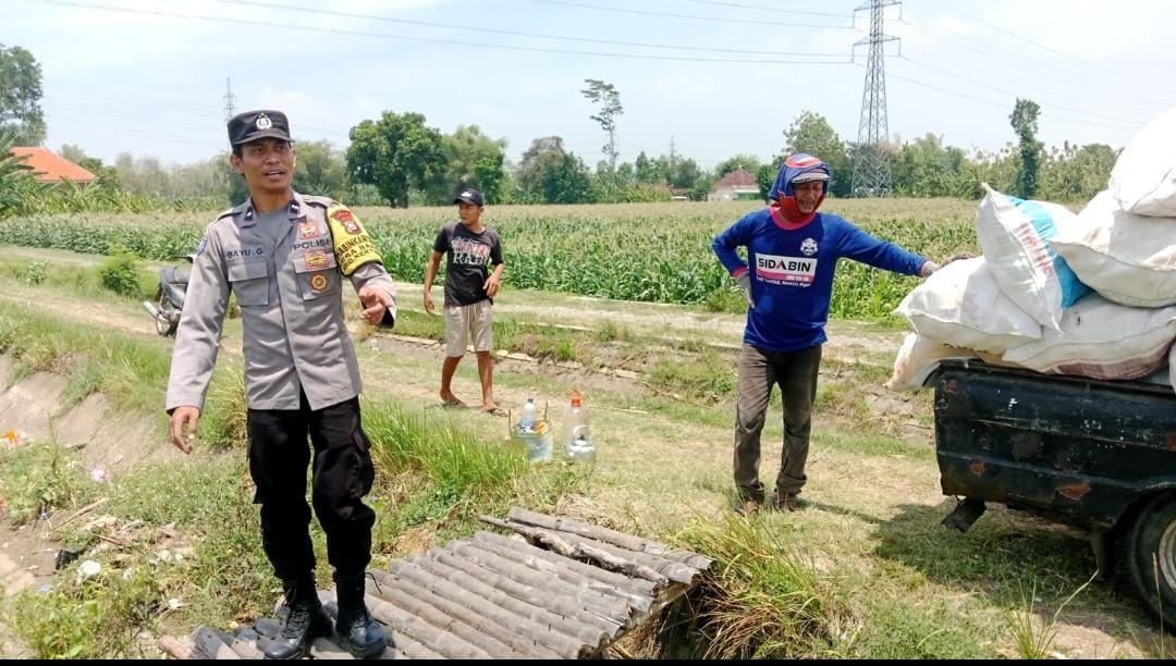 Wujudkan Dukungan Nyata bagi Petani, Bhabinkamtibmas Drenges Turun Langsung Bantu Panen Jagung