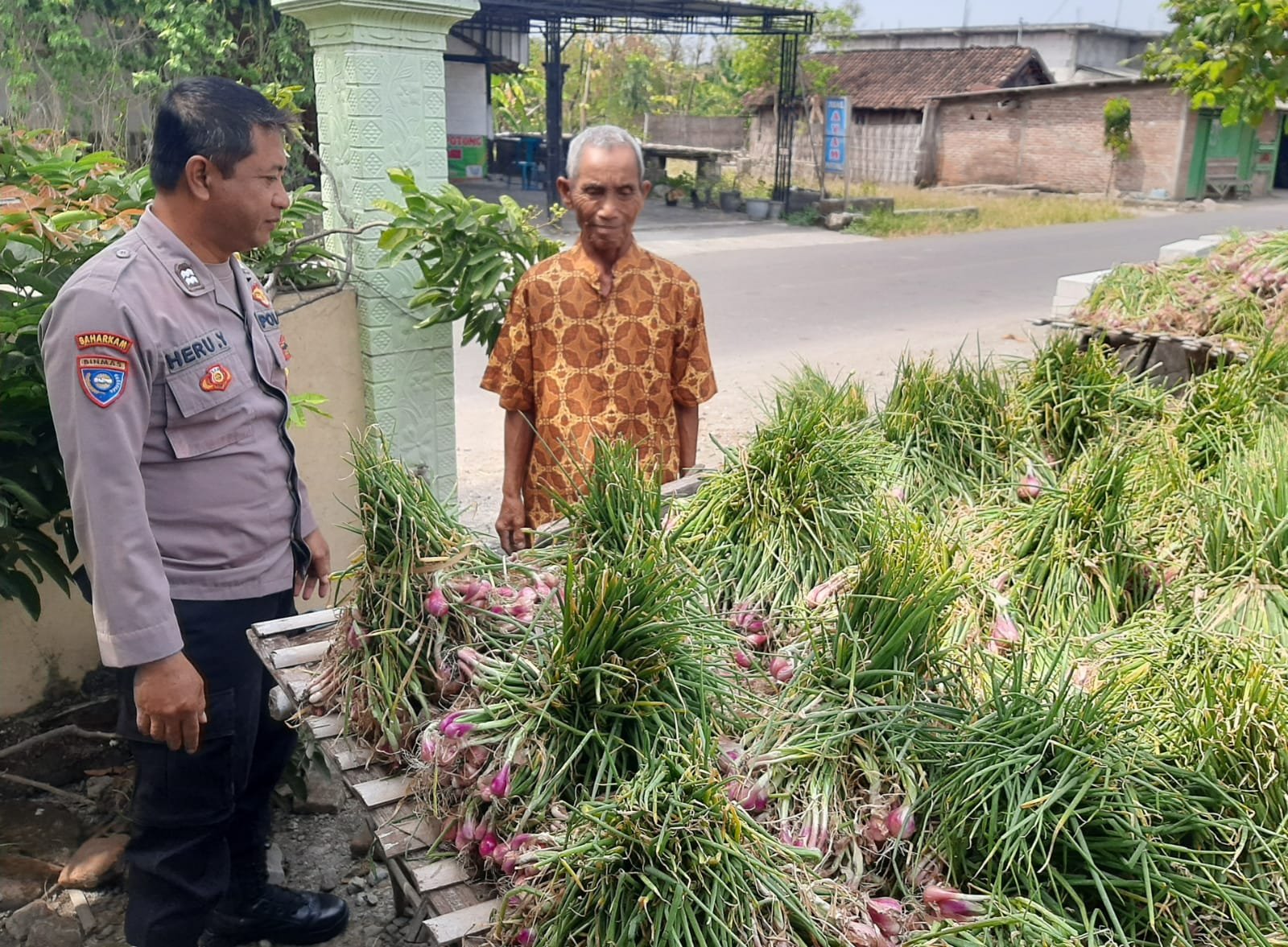 Dukung Ketahanan Pangan, Bhabinkamtibmas Desa Ketawang Dampingi Petani dalam Proses Panen Bawang Merah