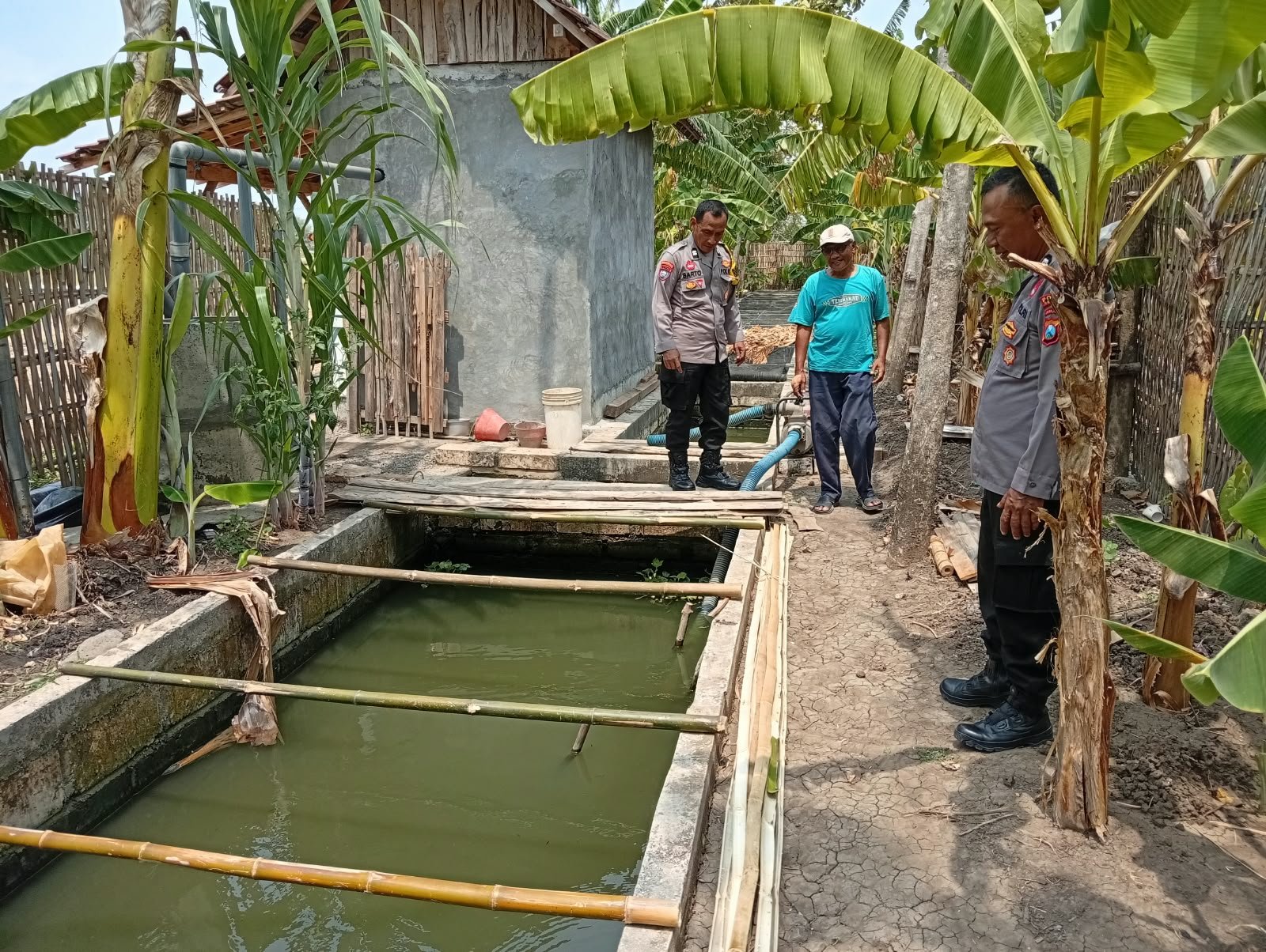 DORONG PRODUKTIVITAS BUDIDAYA IKAN GURAMI, BHABINKAMTIBMAS BLITARAN DUKUNG KETAHANAN PANGAN NASIONAL