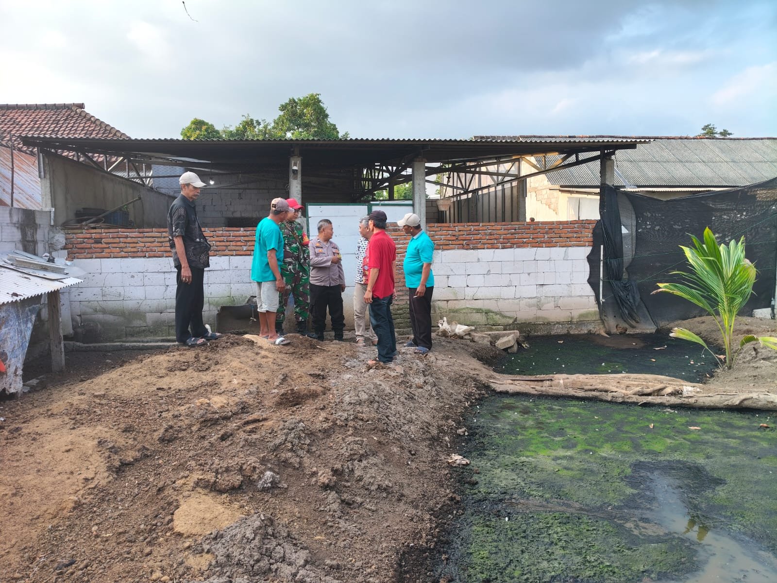 SINERGI BHABINKAMTIBMAS DAN BABINSA BERSAMA PETERNAK SAPI, WUJUDKAN KETAHANAN PANGAN BERBASIS DESA