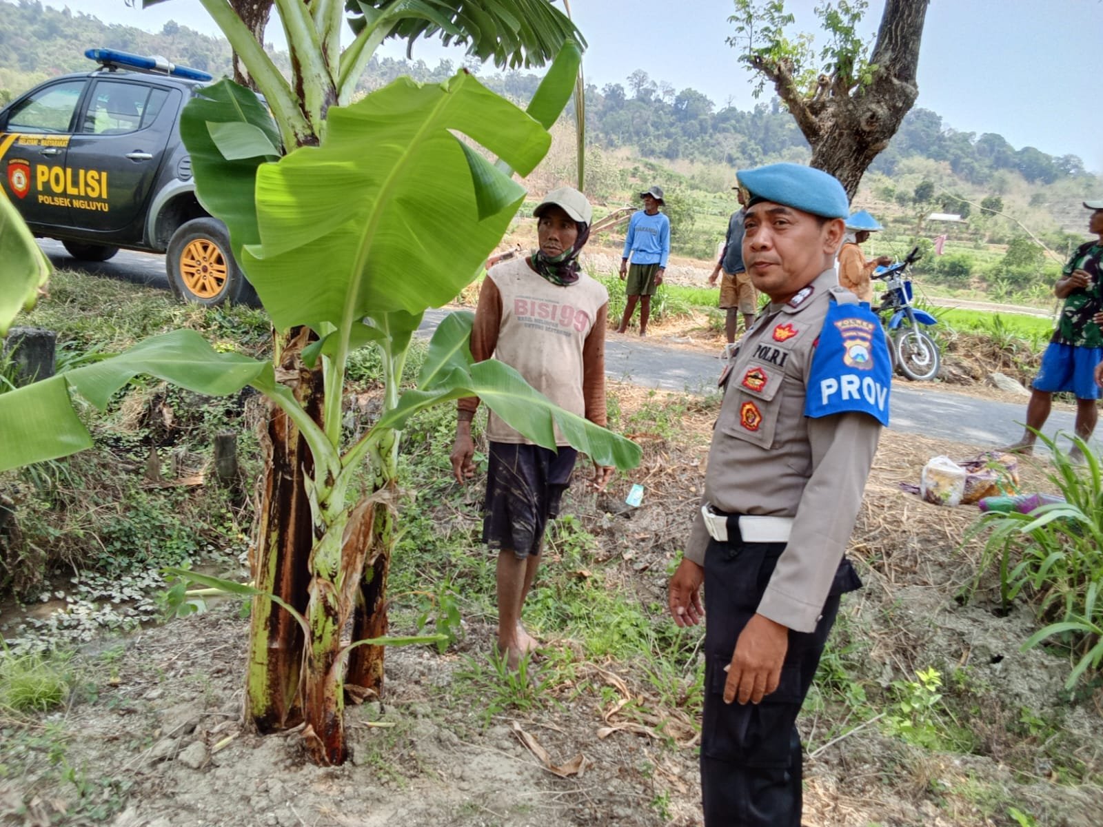 Dukung Ketahanan Pangan, Bhabinkamtibmas Polsek Ngluyu Pantau Produktivitas Kebun Pisang P2B di Desa Lengkong Lor